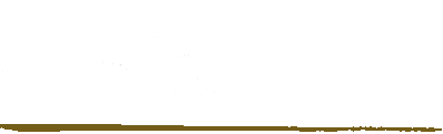 善光寺ぷりん